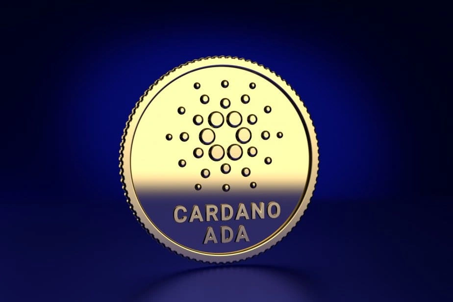 ADA幣未來會再漲嗎?專家建議長期持有Cardano生態系! 1 the future of ADA
