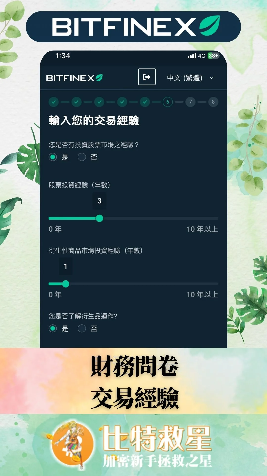 bitfinex中級KYC-財務問卷-交易經驗