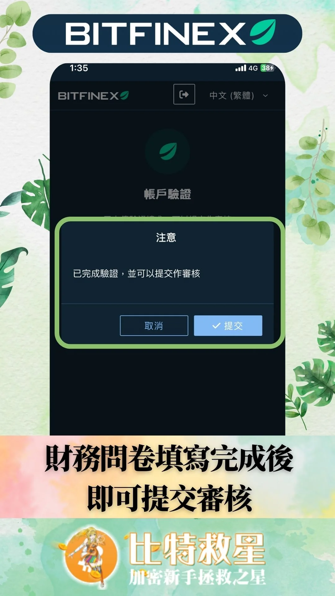 bitfinex中級KYC-提交審核