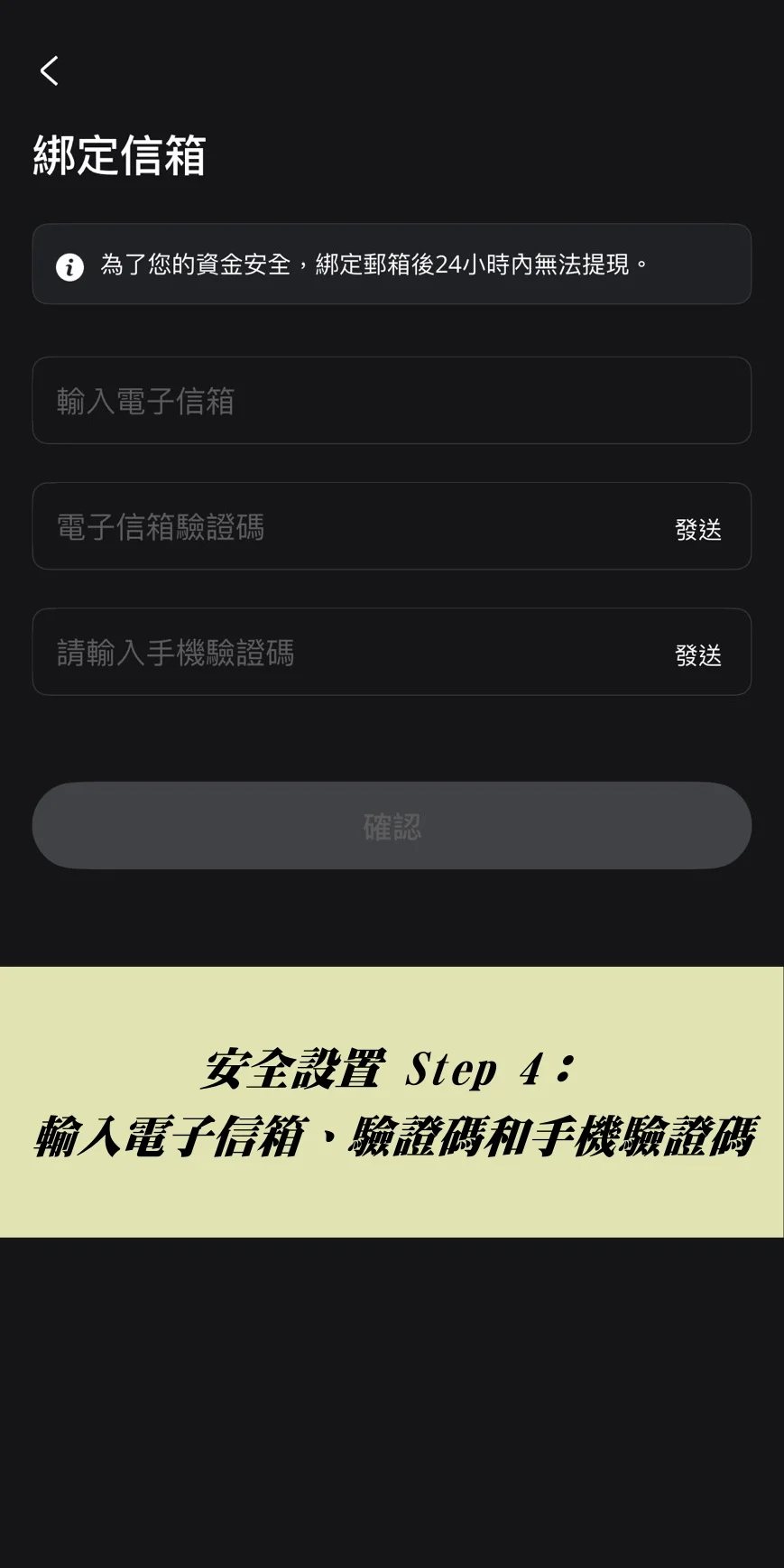 輸入電子信箱、驗證碼和手機驗證碼