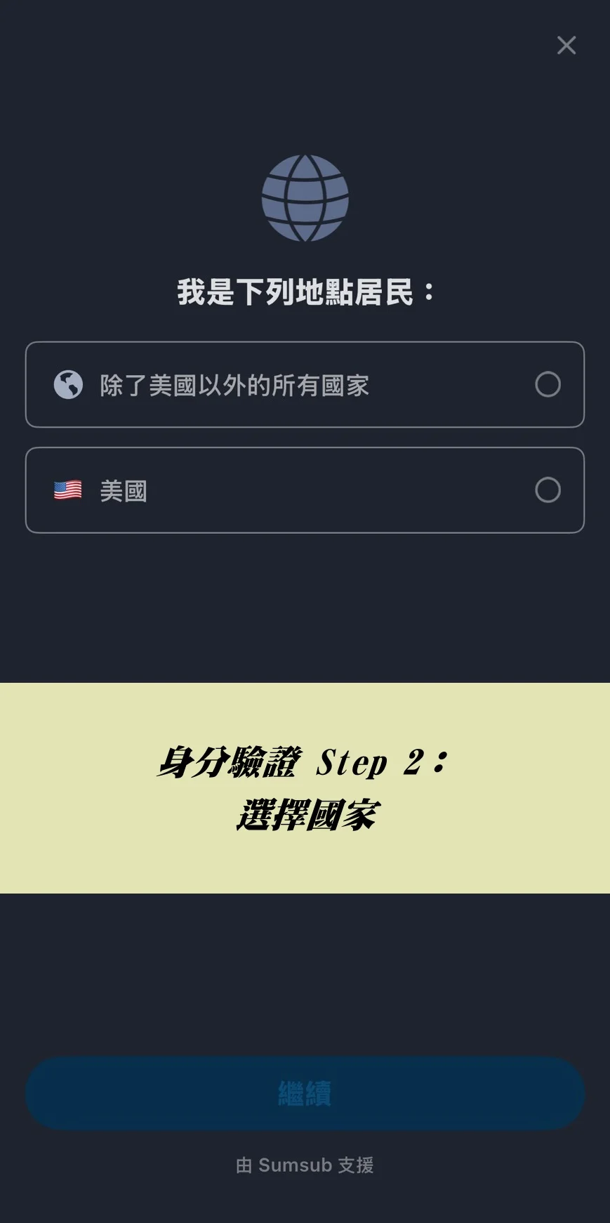 選擇國家（美國或其他國家）