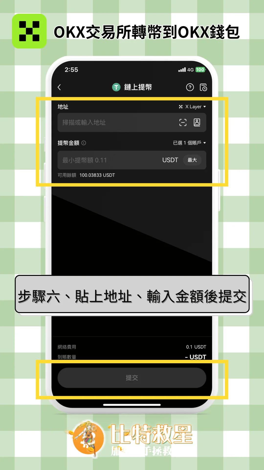 步驟六、貼上地址、輸入金額後提交