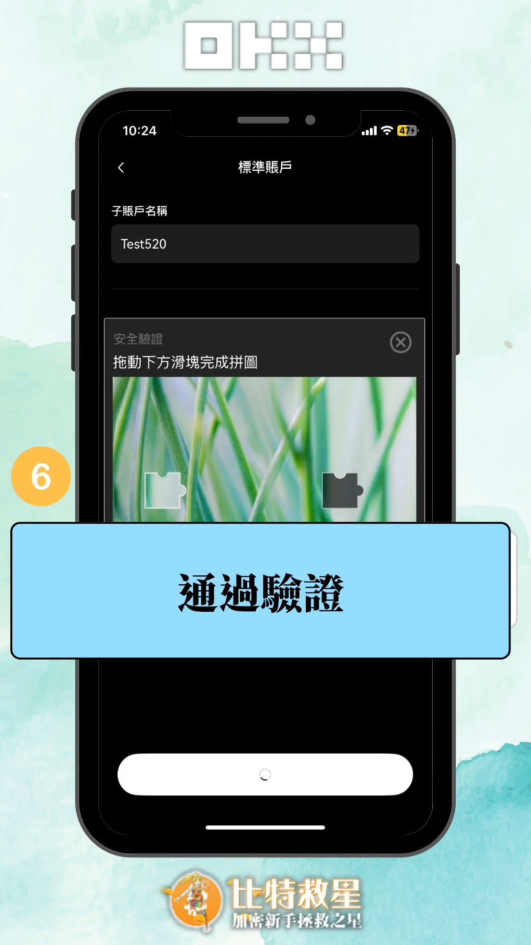 okx-sub-acc-app-step6