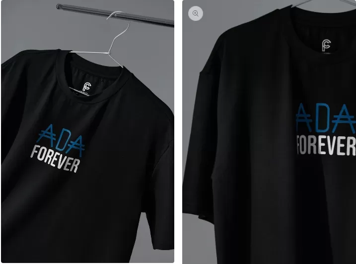 區塊鏈日報在講什麼?值得看嗎?創辦人Derek公開投資組合建議 6 ADA Forever