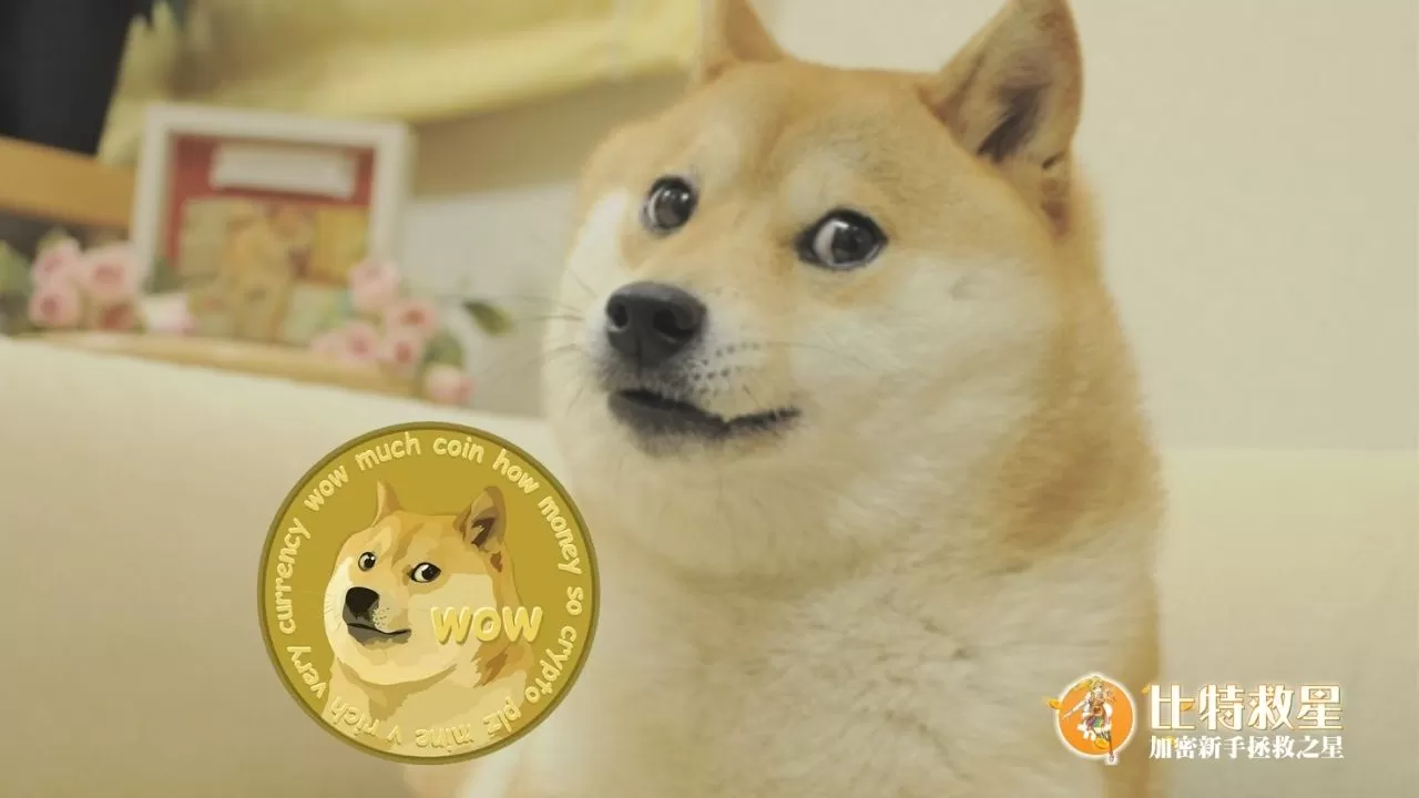 此圖為狗狗幣的LOGO，以及該LOGO的柴犬本尊Kabosu，該柴犬也很常出現在各種迷因中